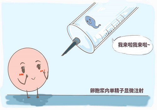 试管婴儿三代80%成功率介绍