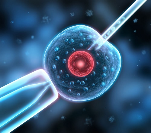 试管婴儿b级：b级精子做第三代试管的成功率